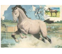 1985 MÁXIMO POSTAL 108 - CAVALOS RAÇAS BRASILEIRAS - MARAJOARA - 7480